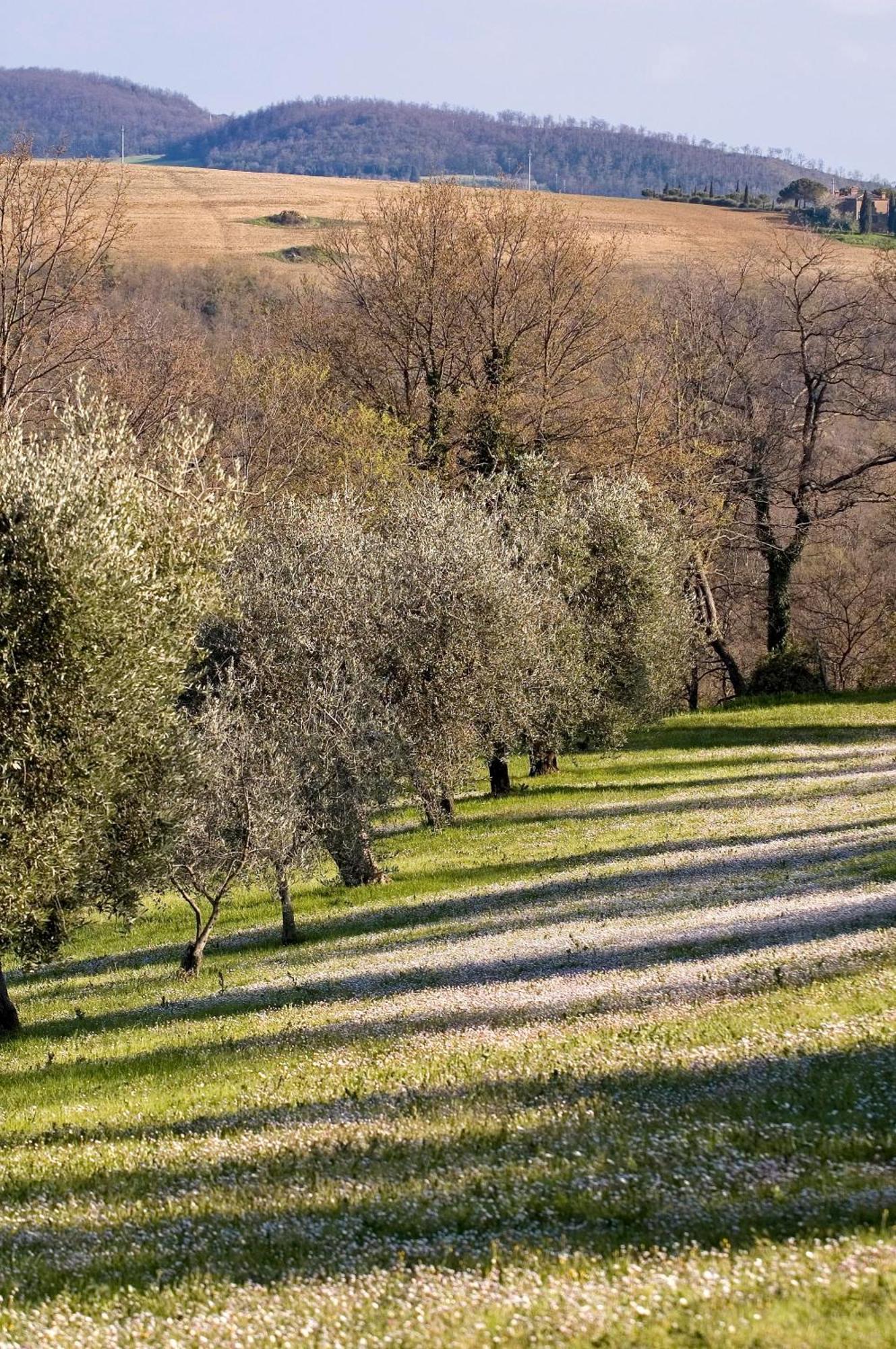 La Saracina Hotel Пиенца Екстериор снимка